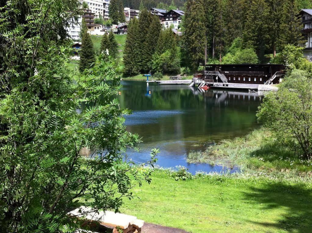 Blatter'S Arosa Hotel & Bella Vista Spa Eksteriør billede